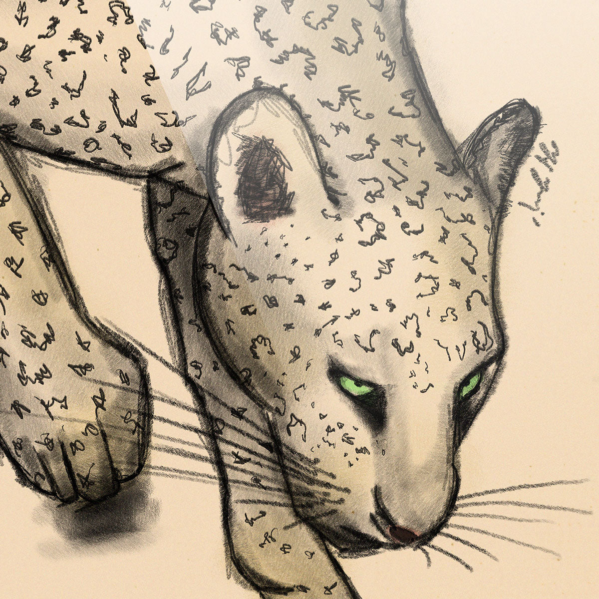 The Arabian Panther