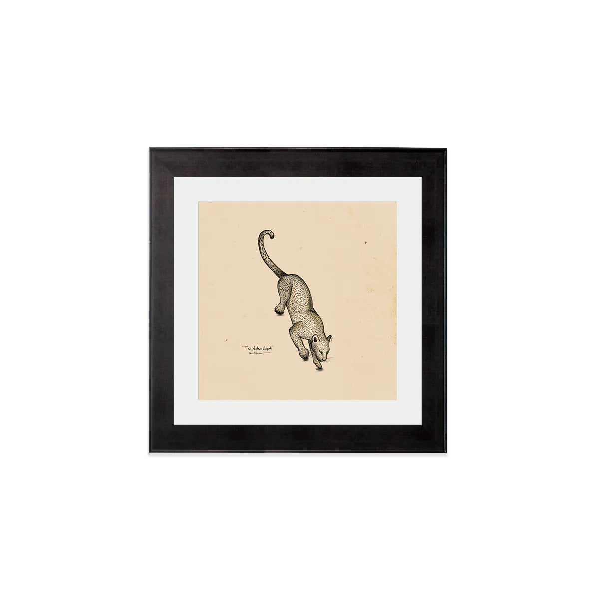 The Arabian Panther